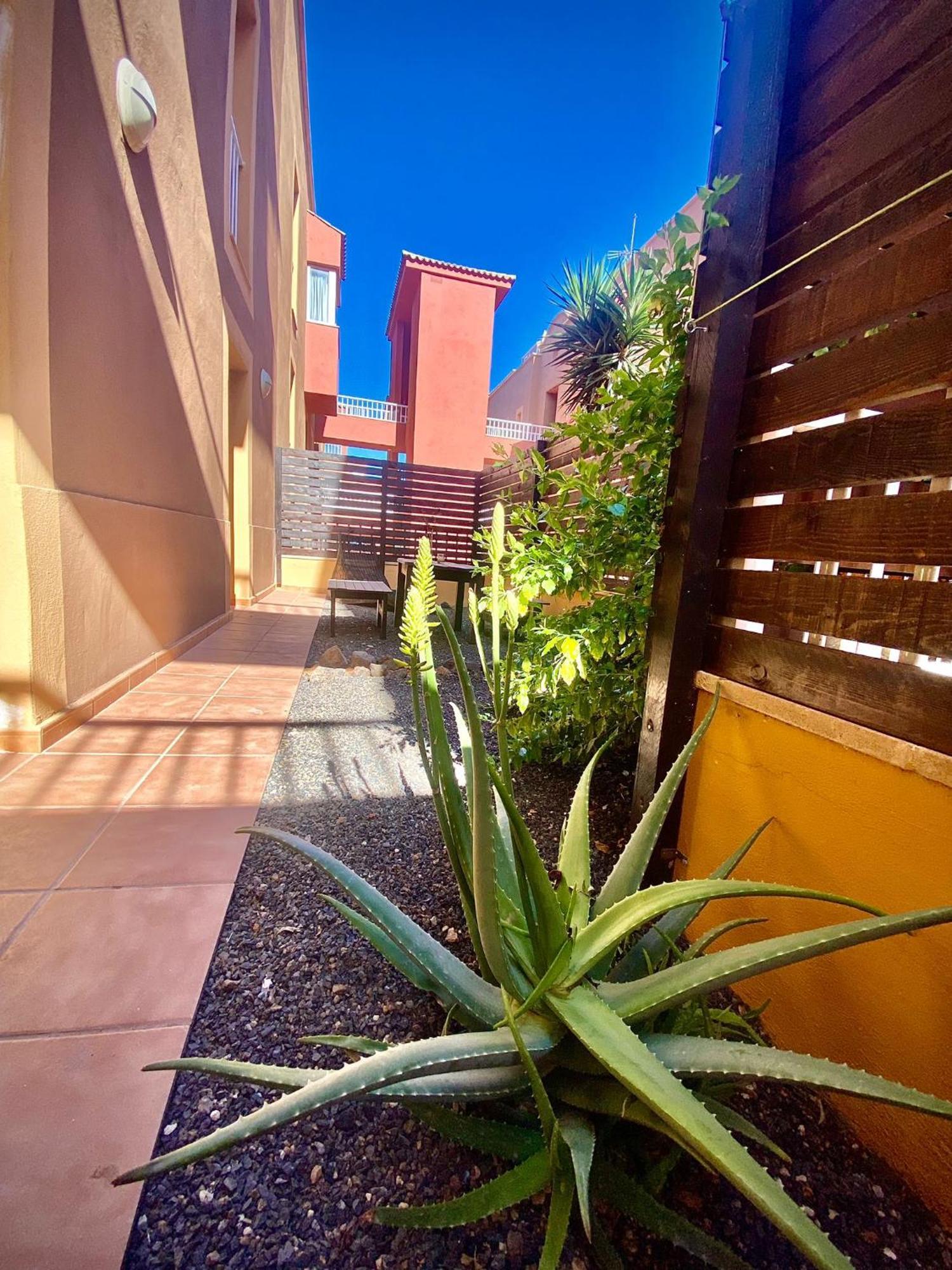 ラ・オリーバBlue Wave House Corralejoアパートメント 部屋 写真